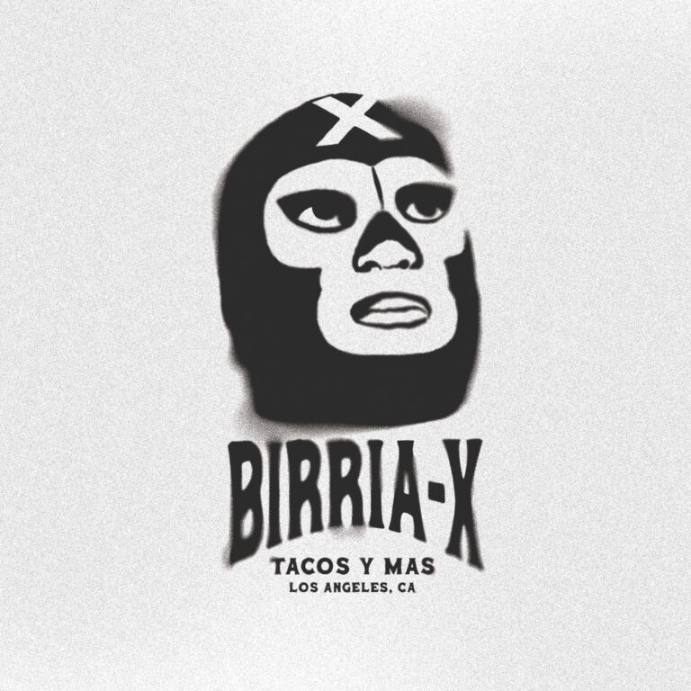 Logo Design for Birria-X